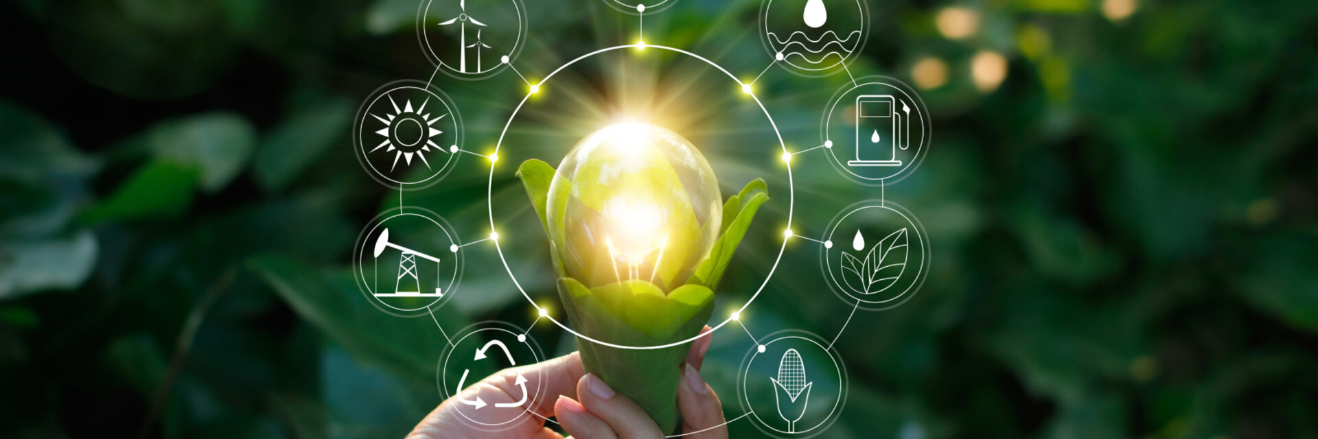 Hand holding light bulb against nature on green leaf with icons energy sources for renewable, sustainable development. Ecology concept. Elements of this image furnished by NASA.